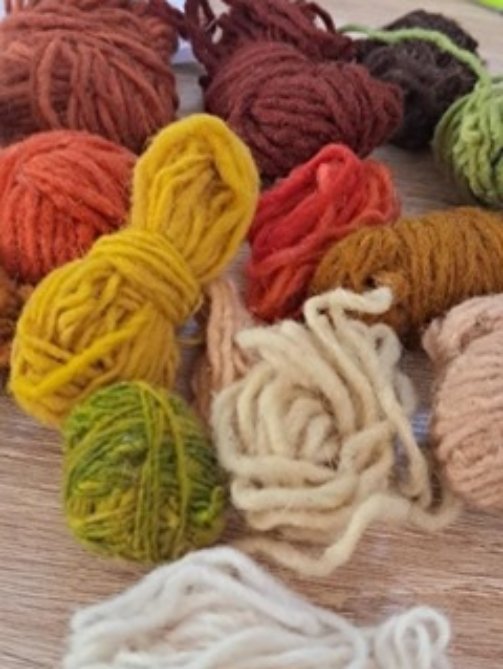 WhatsApp Image 2025-06-29 at 23.42.36